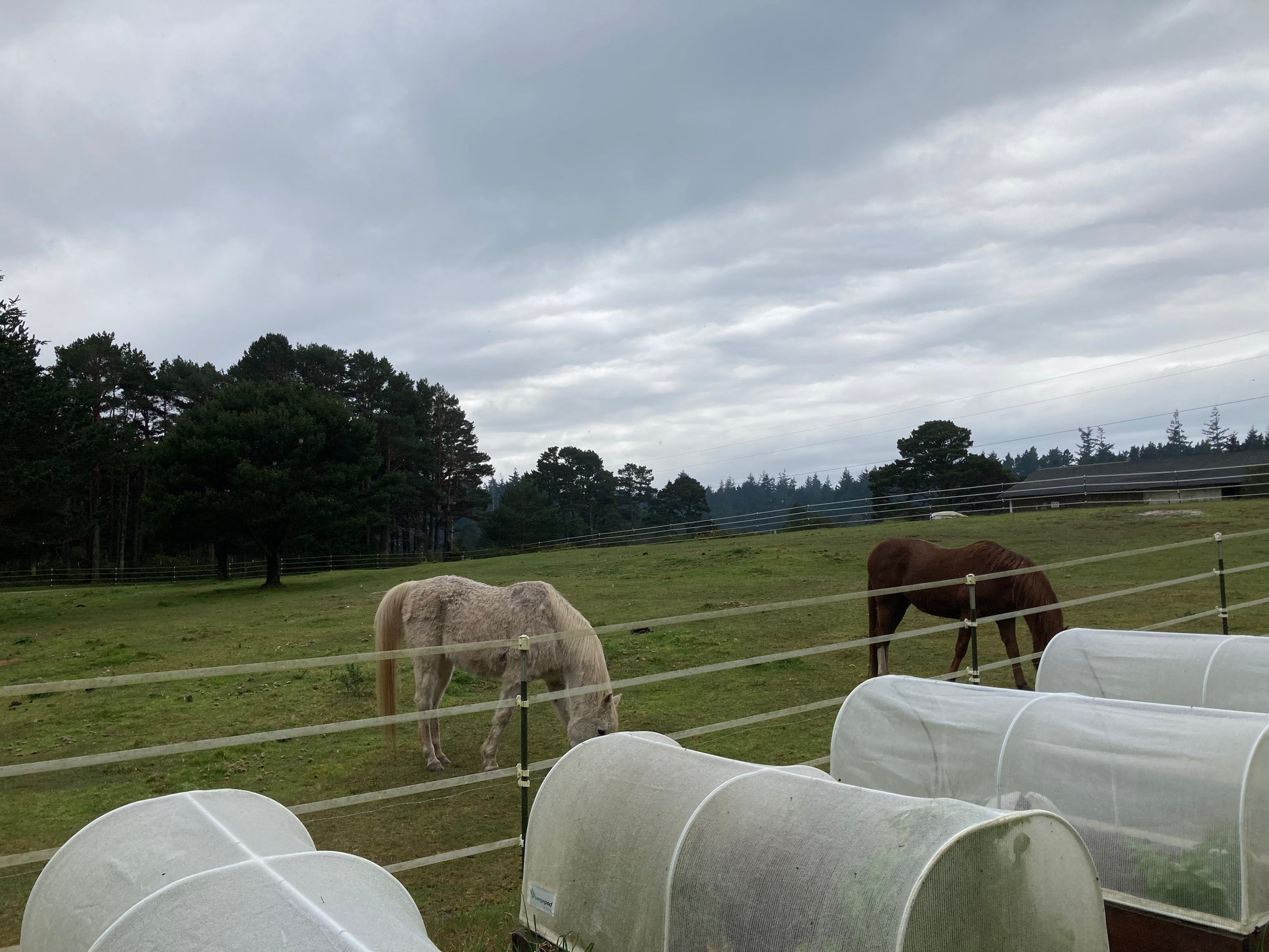 worm food factories