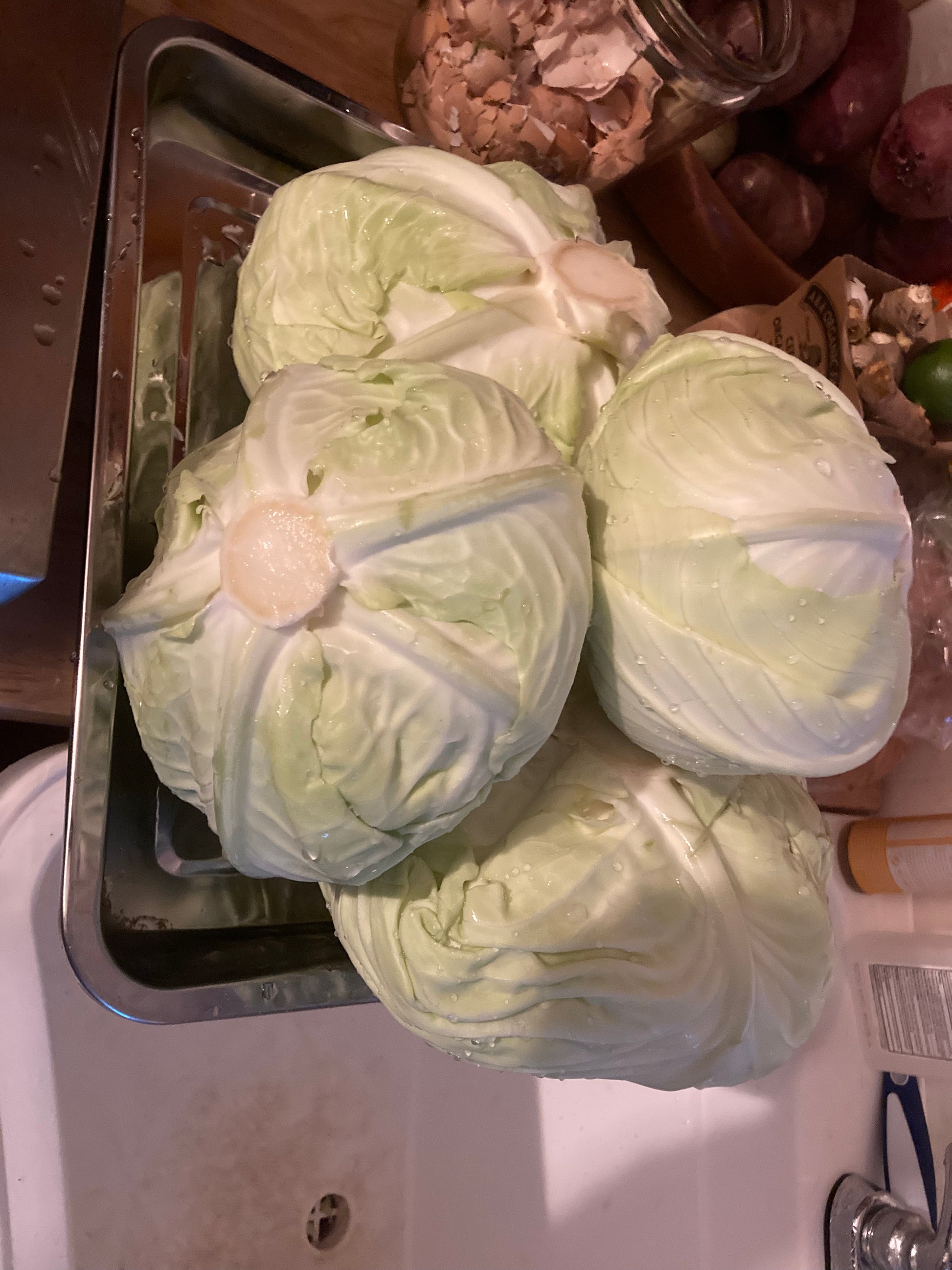 the best cabbage I have ever eaten!